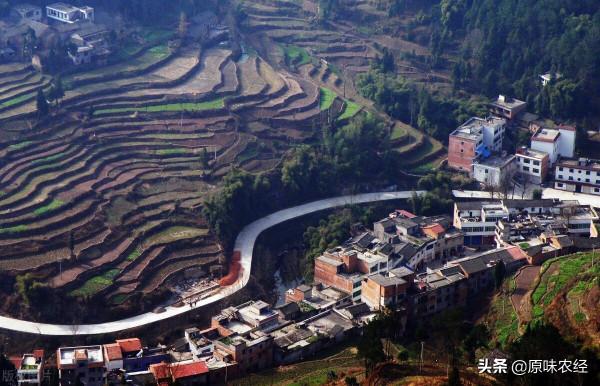 不允許農民新建房:可能嗎? 不允許農民新建房:可能嗎?