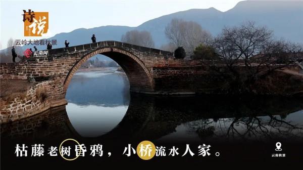 絕美！當雲嶺秋日美景遇上古詩詞