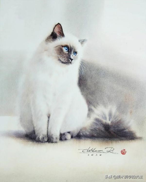 顏料抵擋不住它的美態,流浪改變不了它的命運——水彩貓咪的世界 顏料抵擋不住它的美態,流浪改變不了它的命運——水彩貓咪的世界