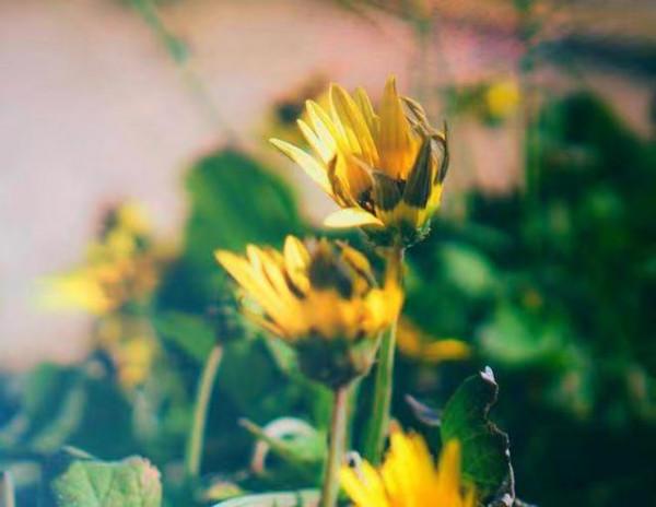 人生感悟：生活中的3種人，不必要再來往！及時止損