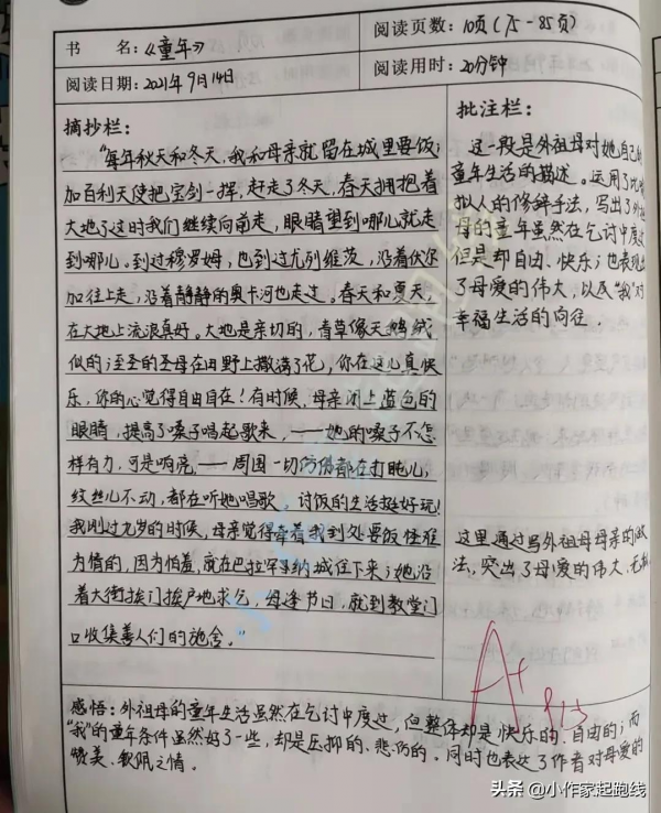 小啦的初中生活：一名初中小萌新的學習成長記錄（一）