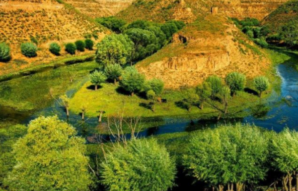 地球正在變綠？原因在中國和印度，專家卻對印度的“綠”十分擔憂