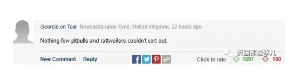 印度猴群復仇目標轉向小孩,聰明的你快來幫幫印度出謀劃策吧 印度猴群復仇目標轉向小孩,聰明的你快來幫幫印度出謀劃策吧