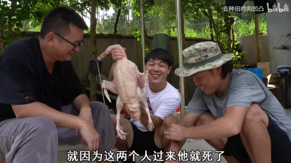 又髒又野,但真招人喜歡 又髒又野,但真招人喜歡