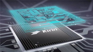 華為只差一臺EUV就基本實現全國產化，美帝趕緊抱緊拉住