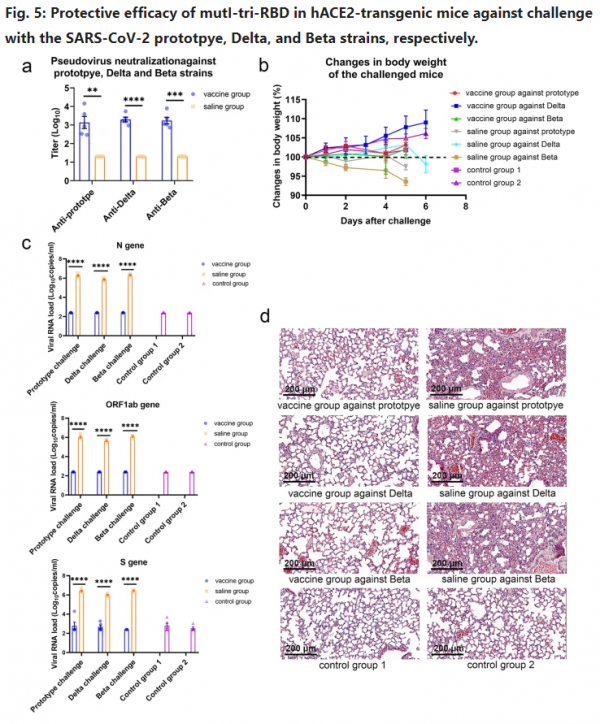 中國生物：二代重組蛋白新冠疫苗顯示出良好保護效果