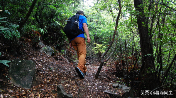 野外如何避免被蛇咬傷，揹包客都應該知道如何處理蛇咬傷的常識