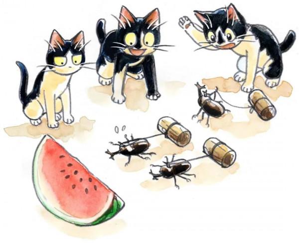 貓貓的一天，煮飯釣魚還有種菜？