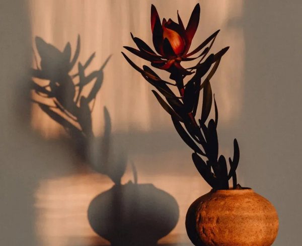 八個故事，八種智慧