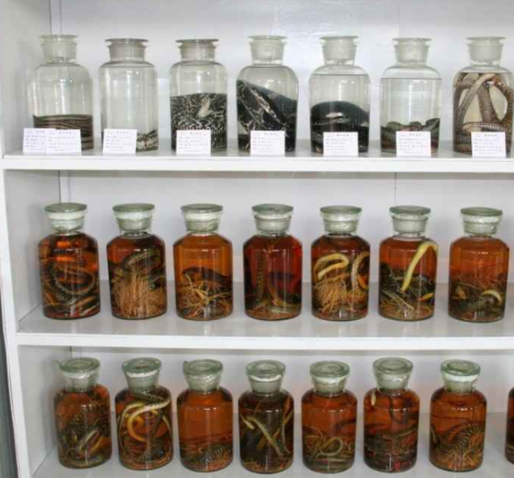 雲南白酒市場現狀:散裝酒氾濫成災,無好酒? 雲南白酒市場現狀:散裝酒氾濫成災,無好酒?