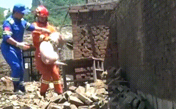 “藍朋友”與小動物的聊天室……