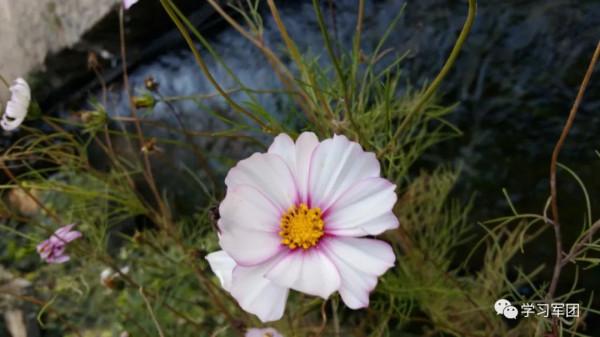 晚間悅讀 | 贏得尊重的四種方式 晚間悅讀 | 贏得尊重的四種方式