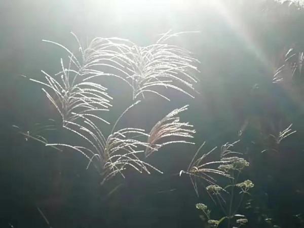 戀上這座山之四：一池秀水入眸中