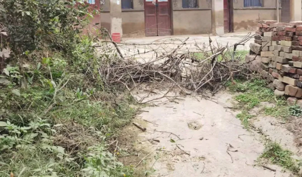 “房子沒了,但家還在。” “房子沒了,但家還在。”