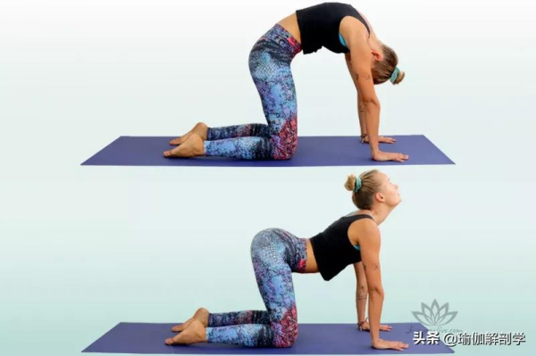 寒冷的冬日，來一場溫柔的瑜伽晨練，喚醒一天的元氣