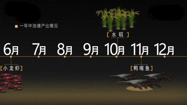 安徽小夥用4萬元，在螃蟹塘養7000條鴨嘴魚，淨賺56萬！憑啥？