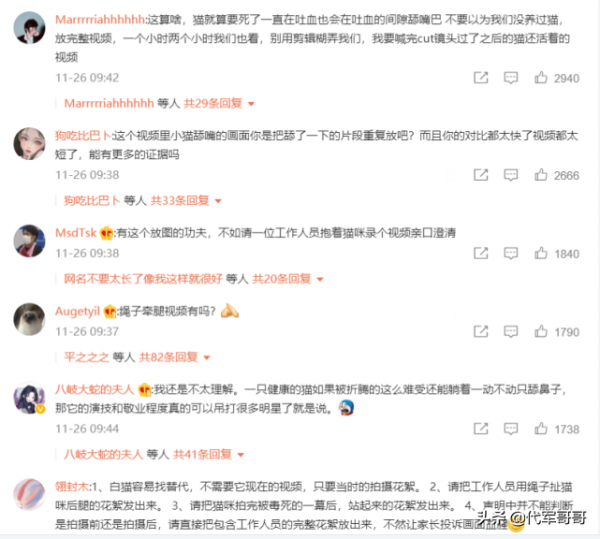 《當家主母》小白貓慘死,劇組發聲明回應,網友為何卻不認同? 《當家主母》小白貓慘死,劇組發聲明回應,網友為何卻不認同?