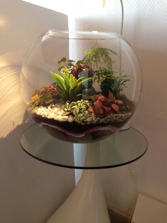 沒有底洞的花盆，怎麼能養好花？