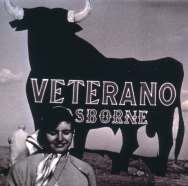 設計史上的&OpenCurlyDoubleQuote;頂流&rdquo;動物，除了熊貓還有誰？