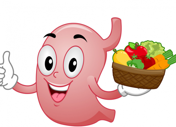 “胃餓小了就瘦了”,這個觀念真的需要被糾正了 “胃餓小了就瘦了”,這個觀念真的需要被糾正了