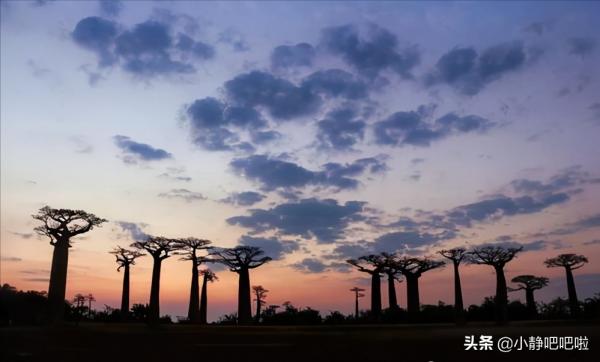 你不知道的20條國家冷知識——“奇妙的”馬達加斯加