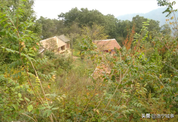 洛寧縣景陽鎮腳跡山 洛寧縣景陽鎮腳跡山