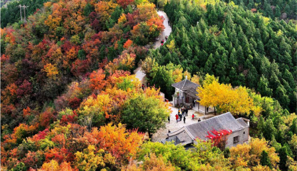 “文化碑林 綠色生態”——首都綠色文化碑林建設歷程回顧 “文化碑林 綠色生態”——首都綠色文化碑林建設歷程回顧