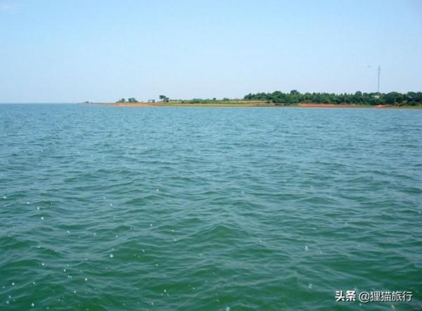 武漢最大島嶼——天興洲,是武漢的菜籃子,也是一片生態淨土 武漢最大島嶼——天興洲,是武漢的菜籃子,也是一片生態淨土