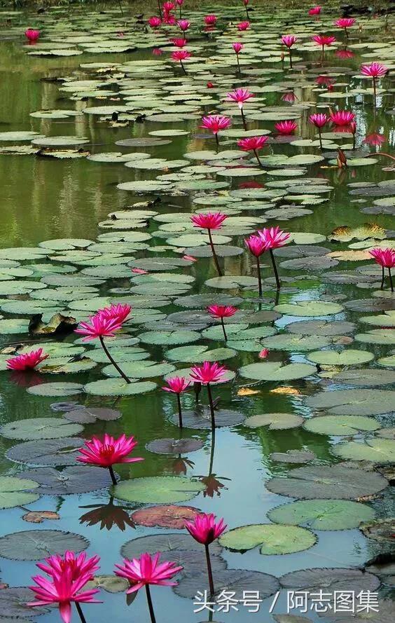 神奇的算卦先生 神奇的算卦先生