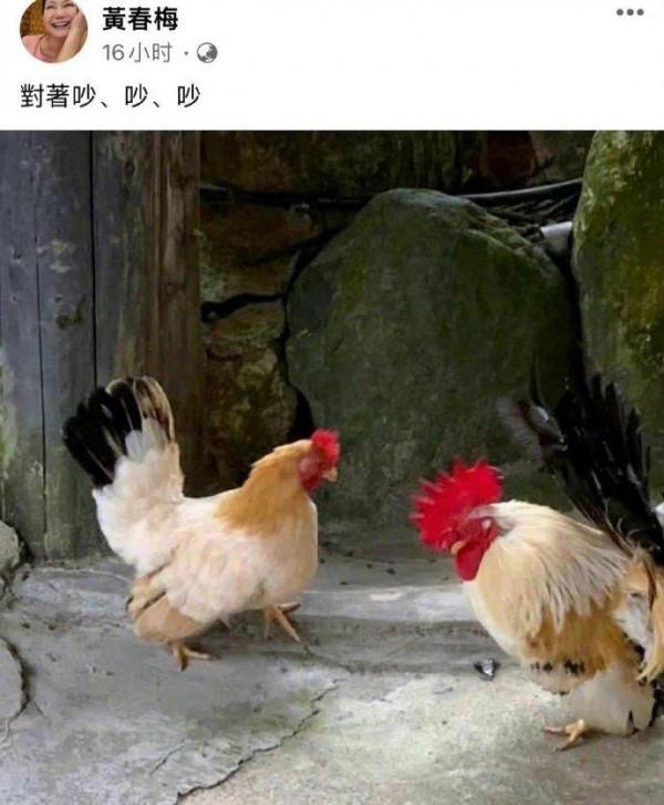 具俊曄做核酸滿面桃花,大S媽對他設定兩條紅線,或無法住大S豪宅 具俊曄做核酸滿面桃花,大S媽對他設定兩條紅線,或無法住大S豪宅