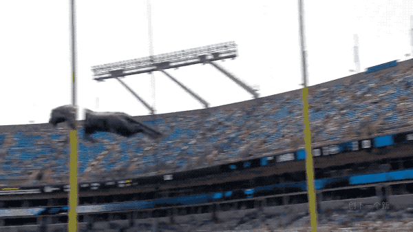 NFL球場驚現黑豹，觀眾都看呆了
