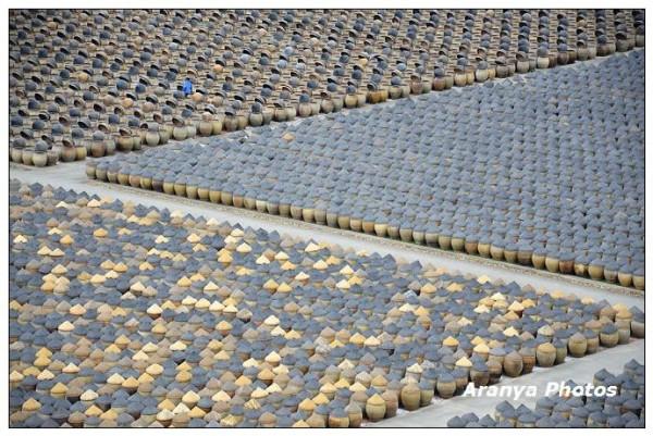 廈門島外6萬缸醬油，頭戴斗笠列隊，這樣的陣仗你見過嗎？