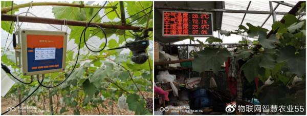 小馬智農硬體升級篇（一）