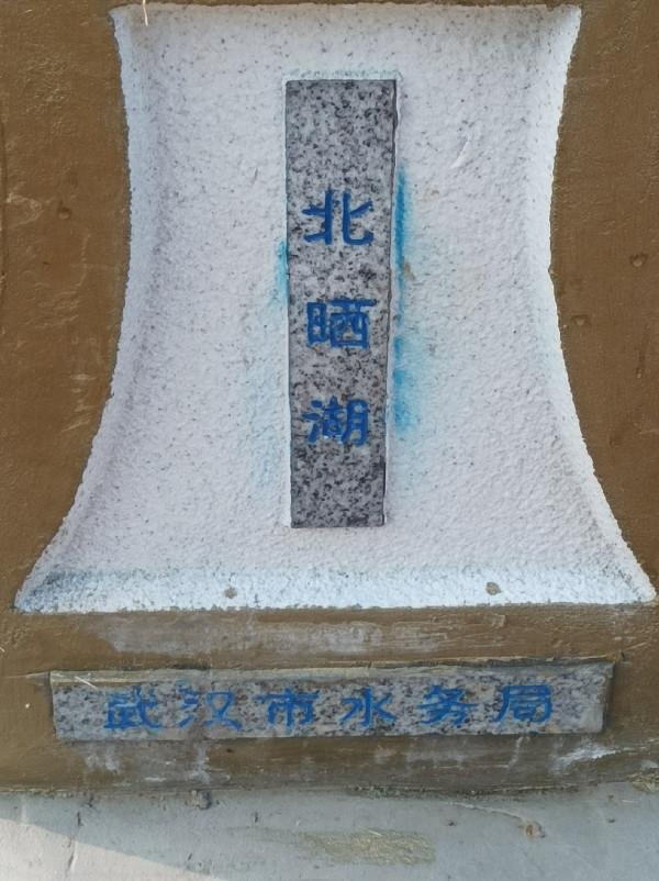 來自北賽湖探釣意外發現——外來物種