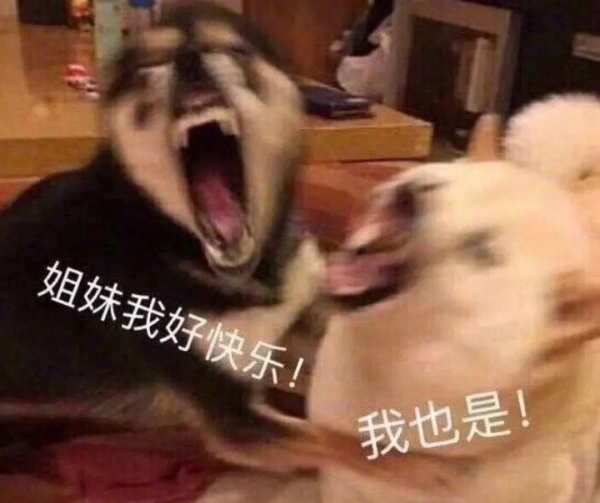 2021我的年終總結，全在這裡了