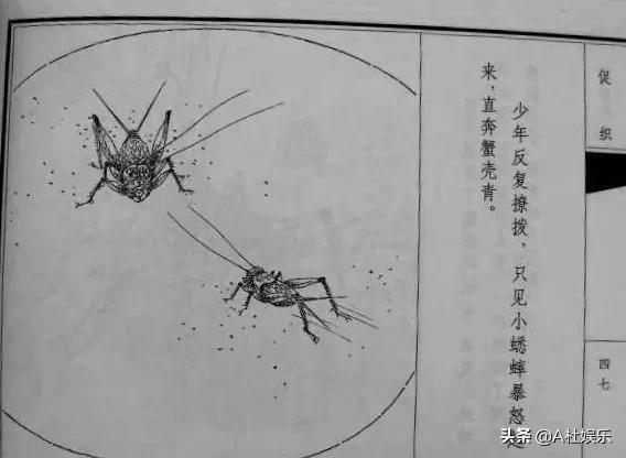 聊齋志異之三十八《促織》 聊齋志異之三十八《促織》