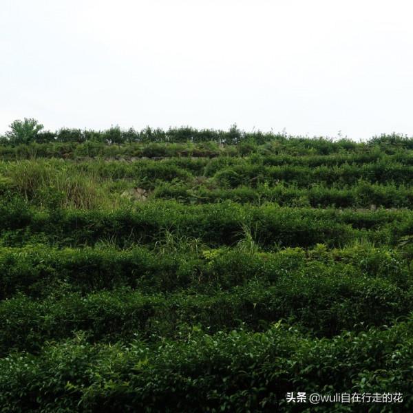 這個秋天,繼續闖蕩福州鼓山,用腳步丈量她的美 | 第63條徒步路線 這個秋天,繼續闖蕩福州鼓山,用腳步丈量她的美 | 第63條徒步路線