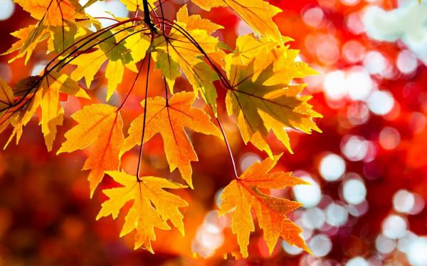 秋季腸胃疾病高發?應該如何預防?這3種預防措施要記好 秋季腸胃疾病高發?應該如何預防?這3種預防措施要記好