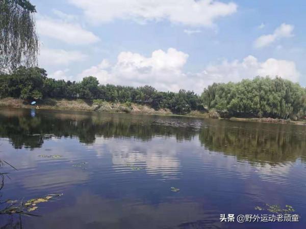 老釣翁釣魚記——9月25日，北湖草蕩東苕溪邊沙坑釣鰱鱅與逆魚