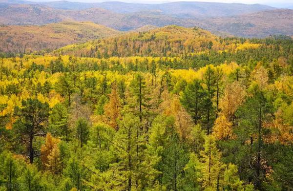 為什麼說脾氣決定福氣?從四個方面其實可以看到答案 為什麼說脾氣決定福氣?從四個方面其實可以看到答案