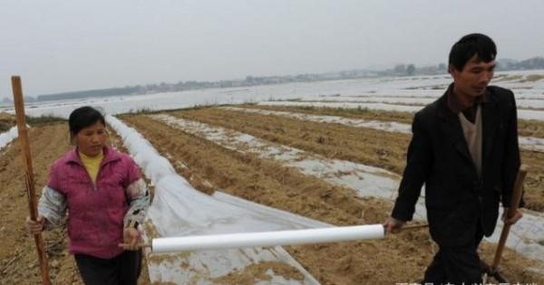 俗語：“男佔三八是秀才，女佔三八必寡”，是指什麼，有何含義？