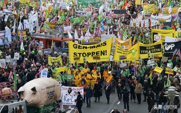 基因編輯番茄真來了，去日本旅遊的小夥伴一定要仔細看