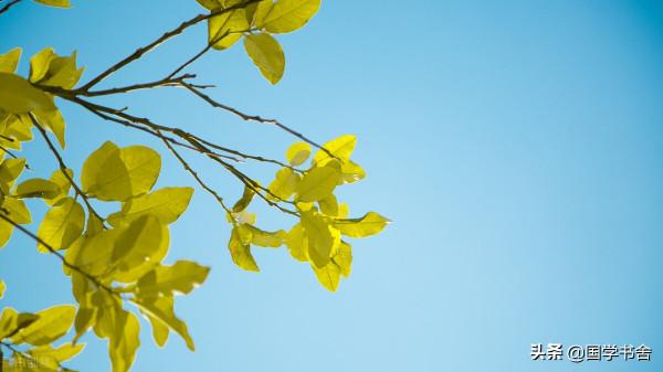 《道德經》：內心存在主宰，外在隨遇而安