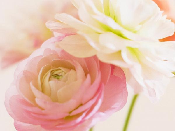 做事靈活多變,擅長突破自我的星座,有靈氣的人,往往不拘一格 做事靈活多變,擅長突破自我的星座,有靈氣的人,往往不拘一格