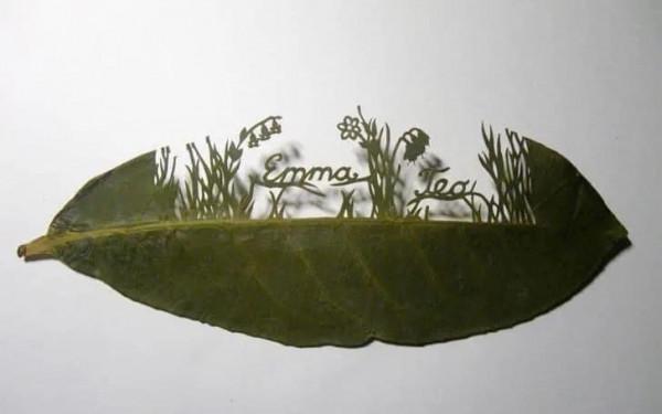 一葉知秋,一葉一世界 一葉知秋,一葉一世界