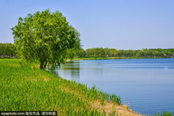 部分免費！北京賞秋“價效比”最高選擇都在這兒了！
