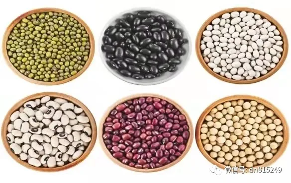 溼是百病之源，看中醫如何調理