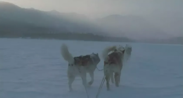 最美的電影，看完整個人都舒服了