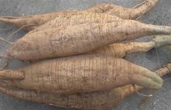 鼻炎食療湯方建議收藏