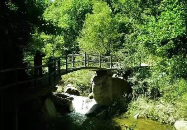 120000畝，河南這個第一大儲存很完好的原始森林，瀑布如霧似幻